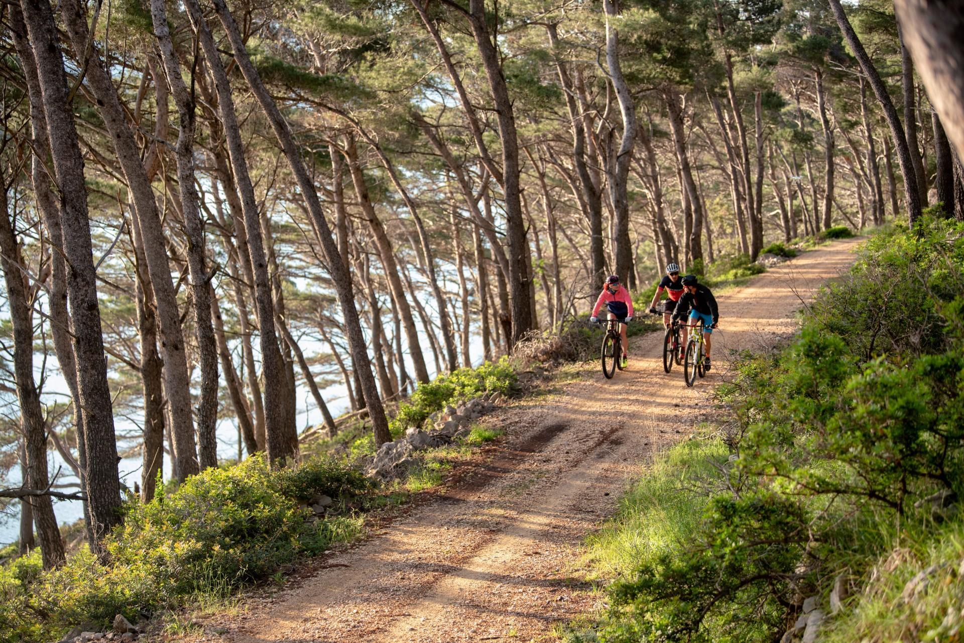 Rab Bike Adriatic Croatia