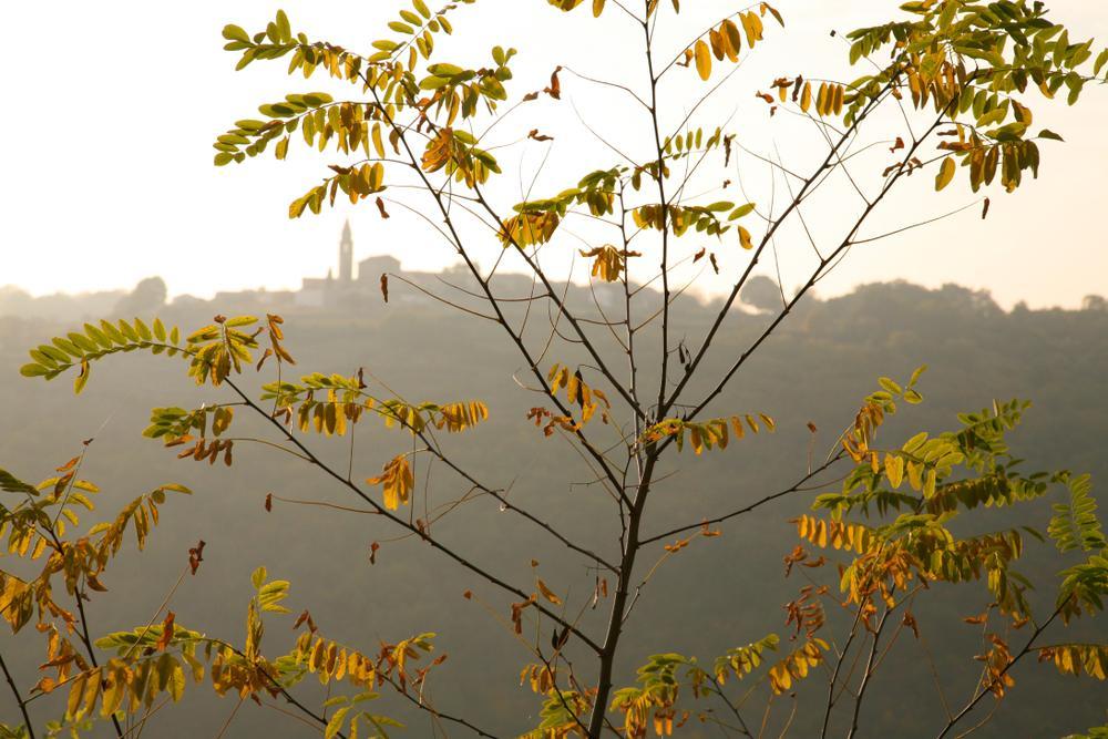 Kringa Village Istria