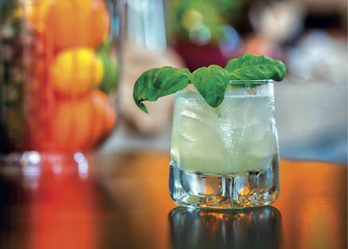 Basil Smash Gin