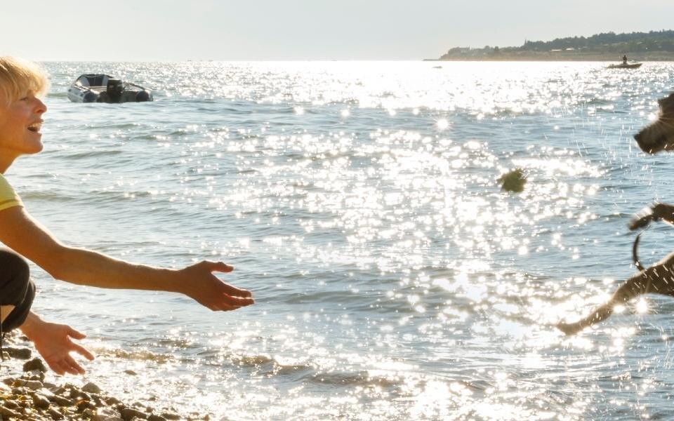 Lanterna_Dog_Friendly_Beach_Valamar