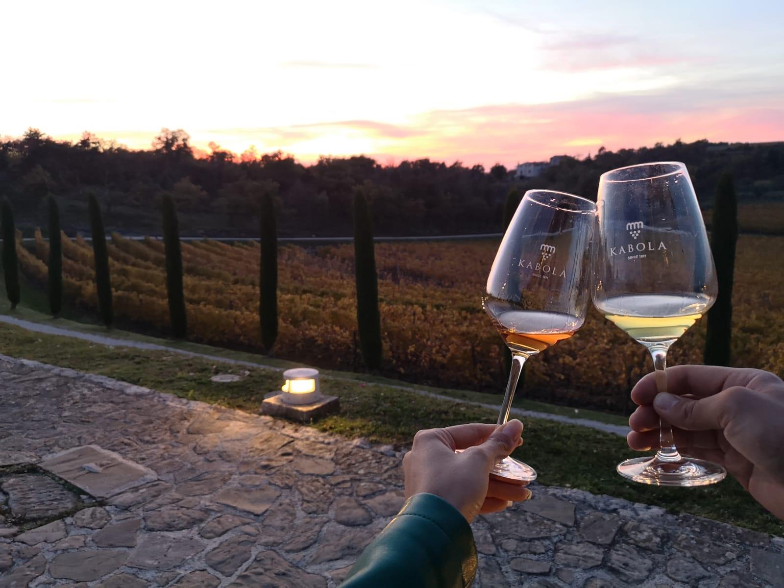 Kabola vineyard