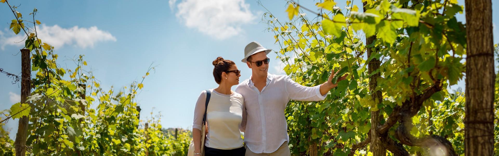 Couple in vineyard