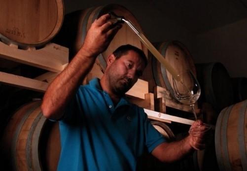 Coronica wine cellar