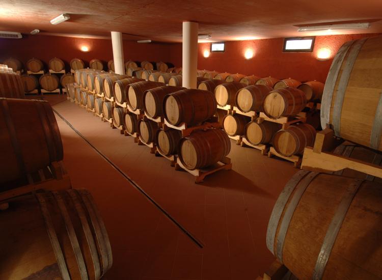Degrassi wine cellar
