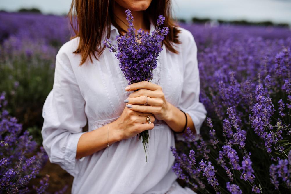 Lavander field