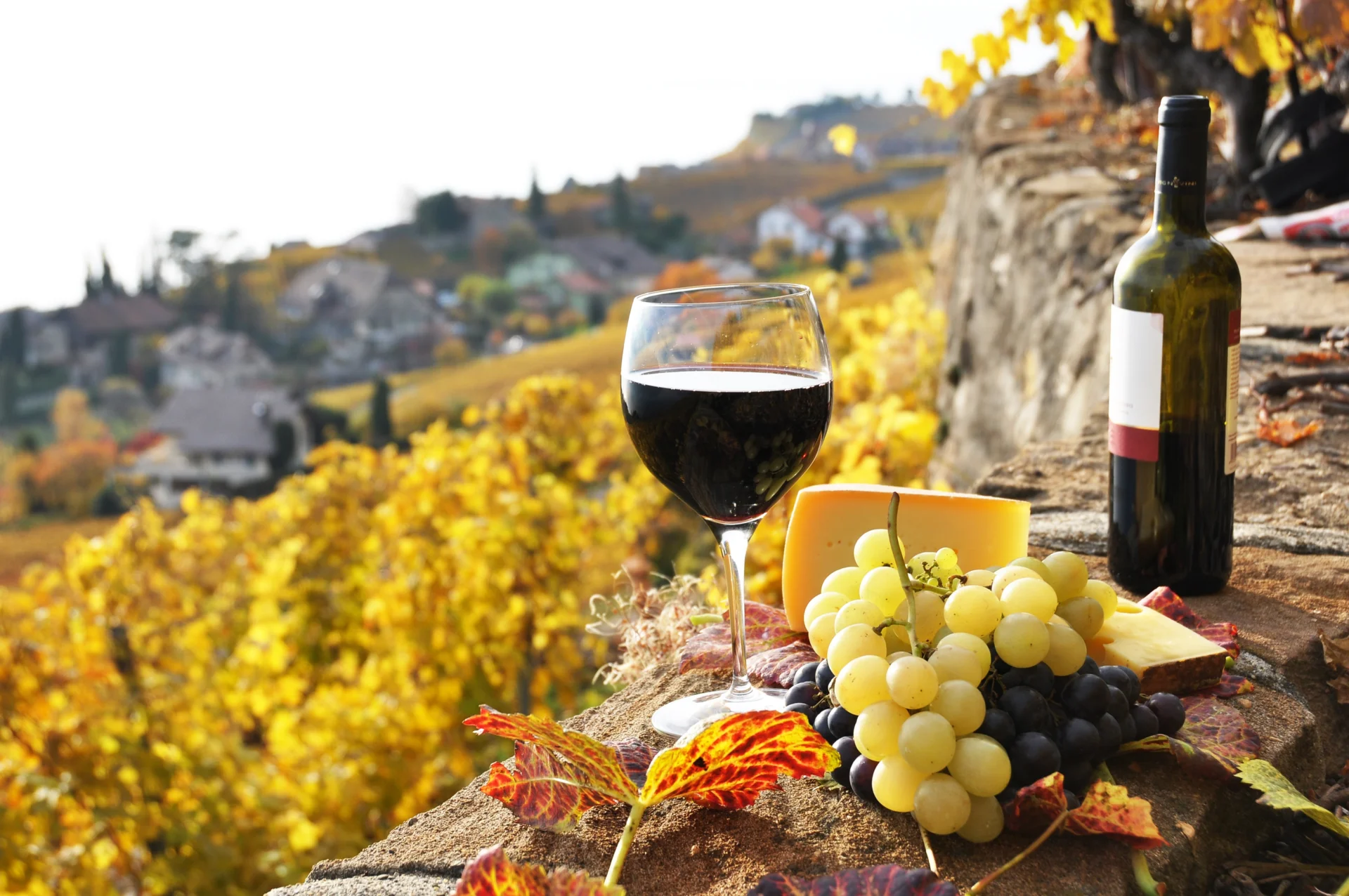 Wine