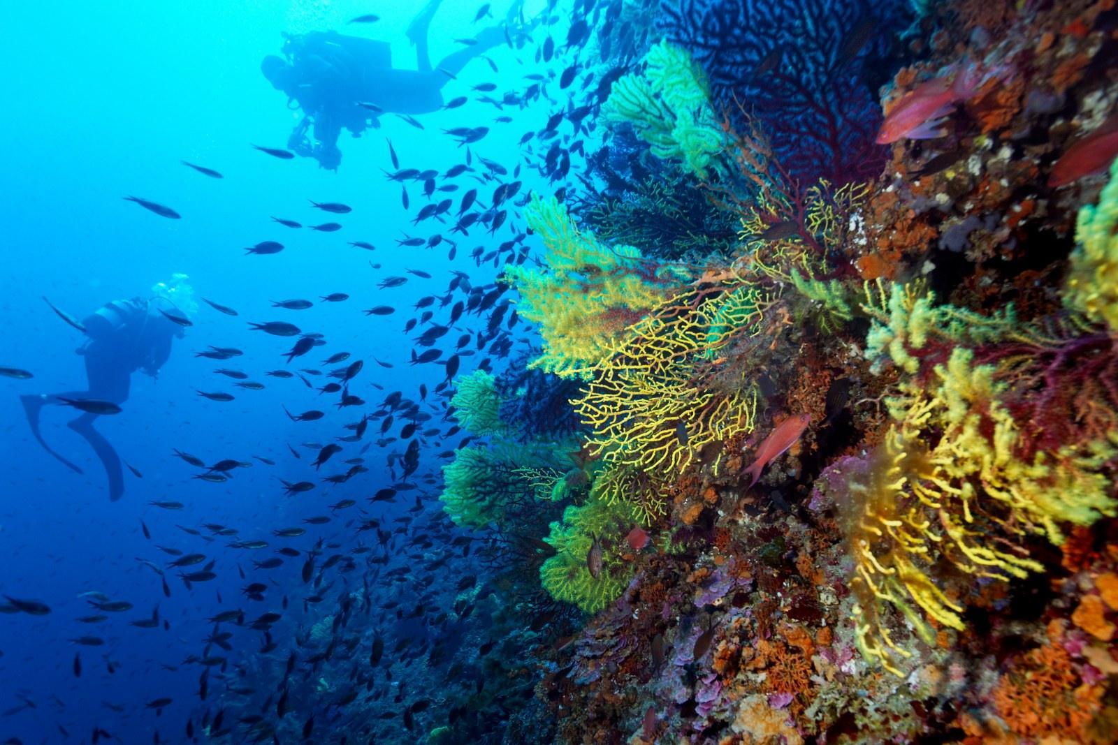 Adriatic sea