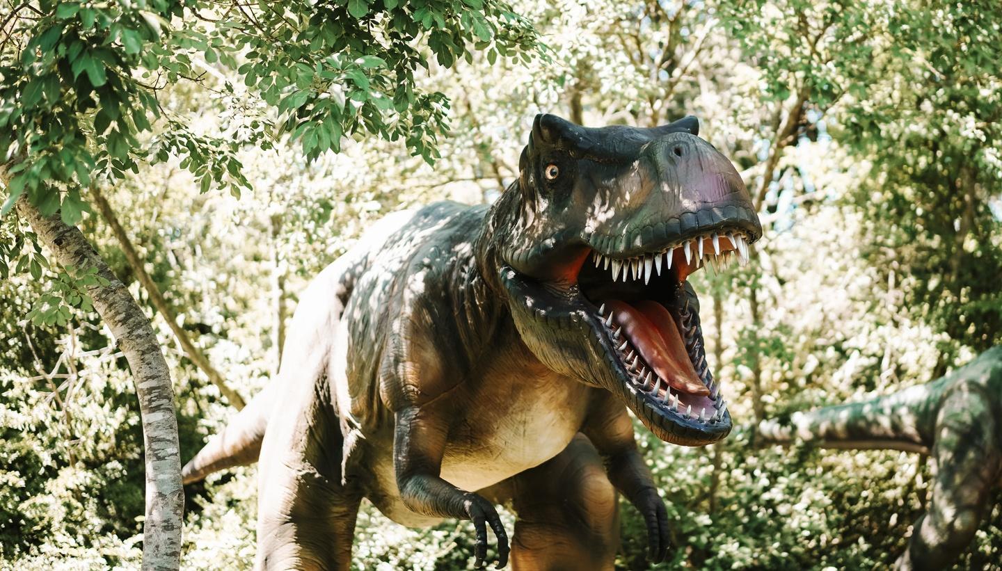 Dinopark Funtana