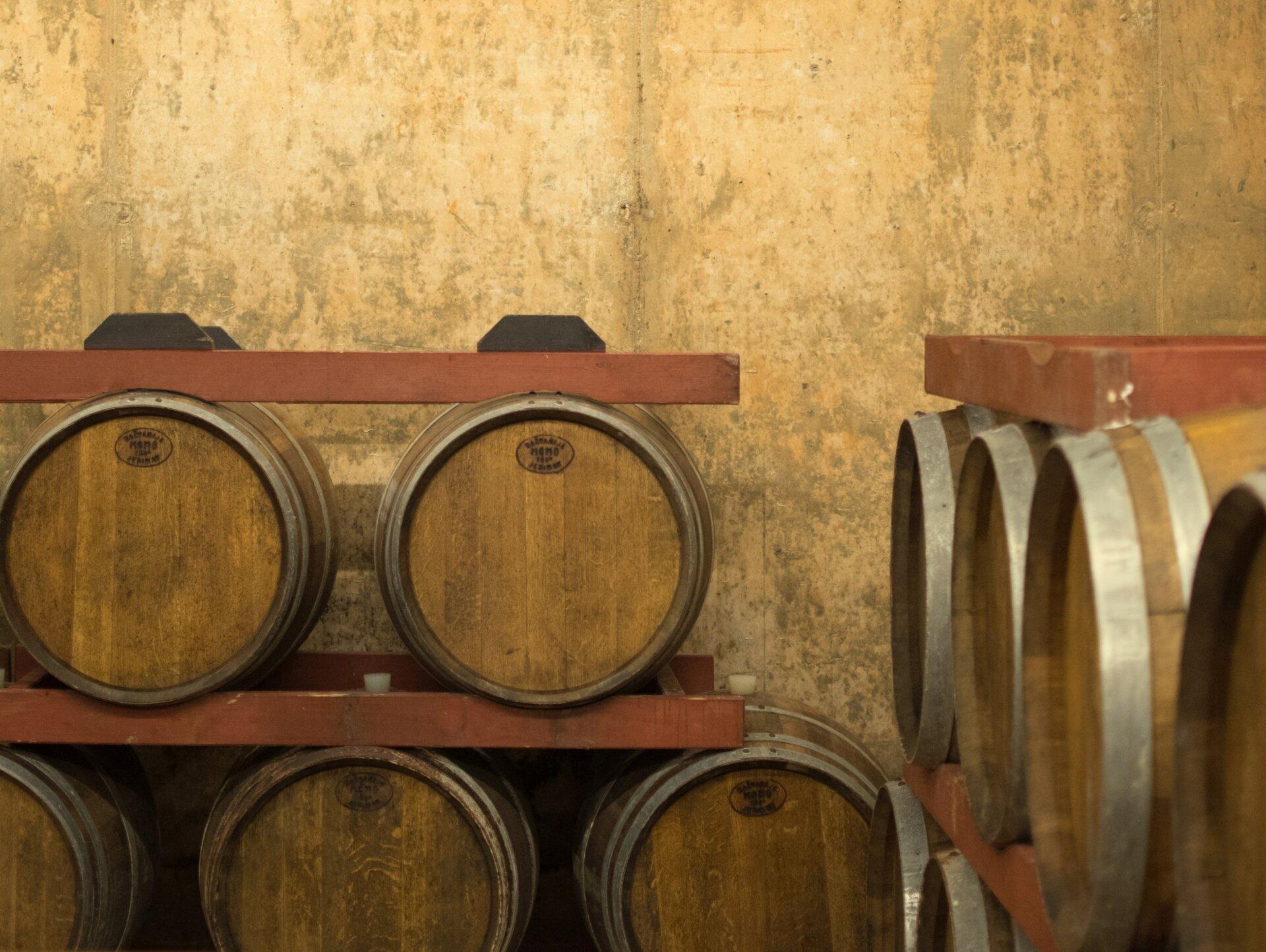 Hvar wine cellar