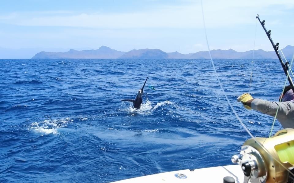 fishing