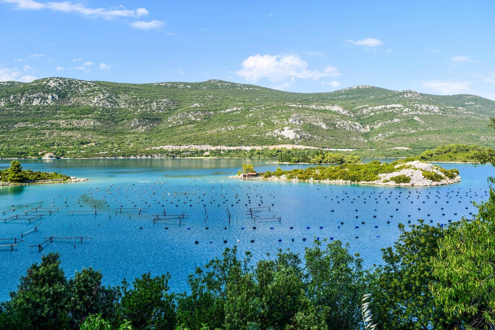 Oyster Farm, Ston, Peljesac Peninsula