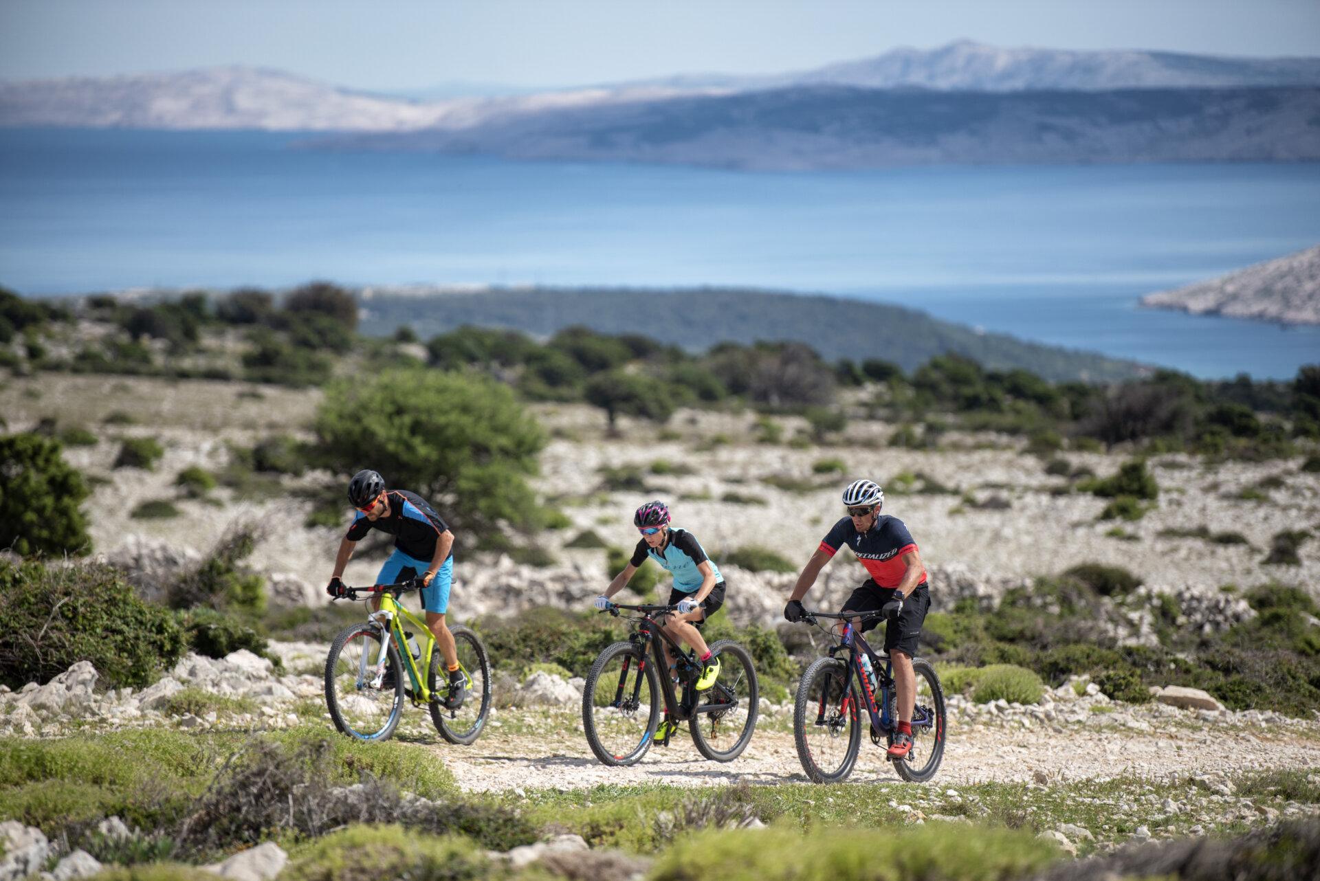 Mountain bikers on the island of Rab