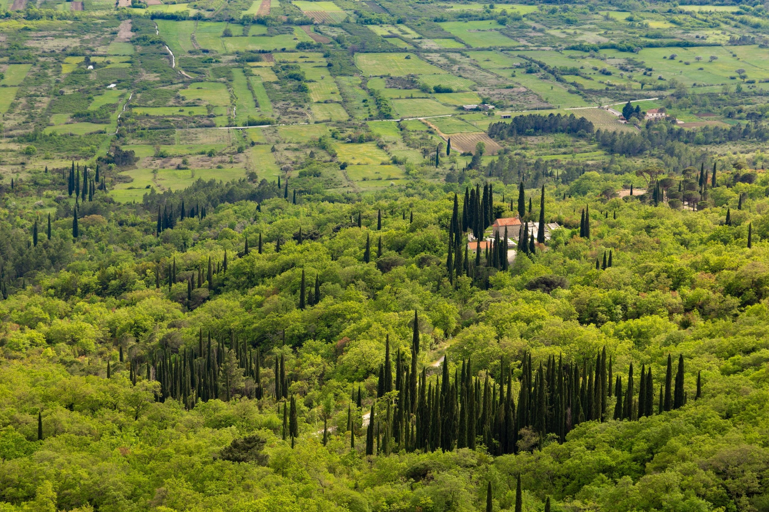 Plains of Konavle Region