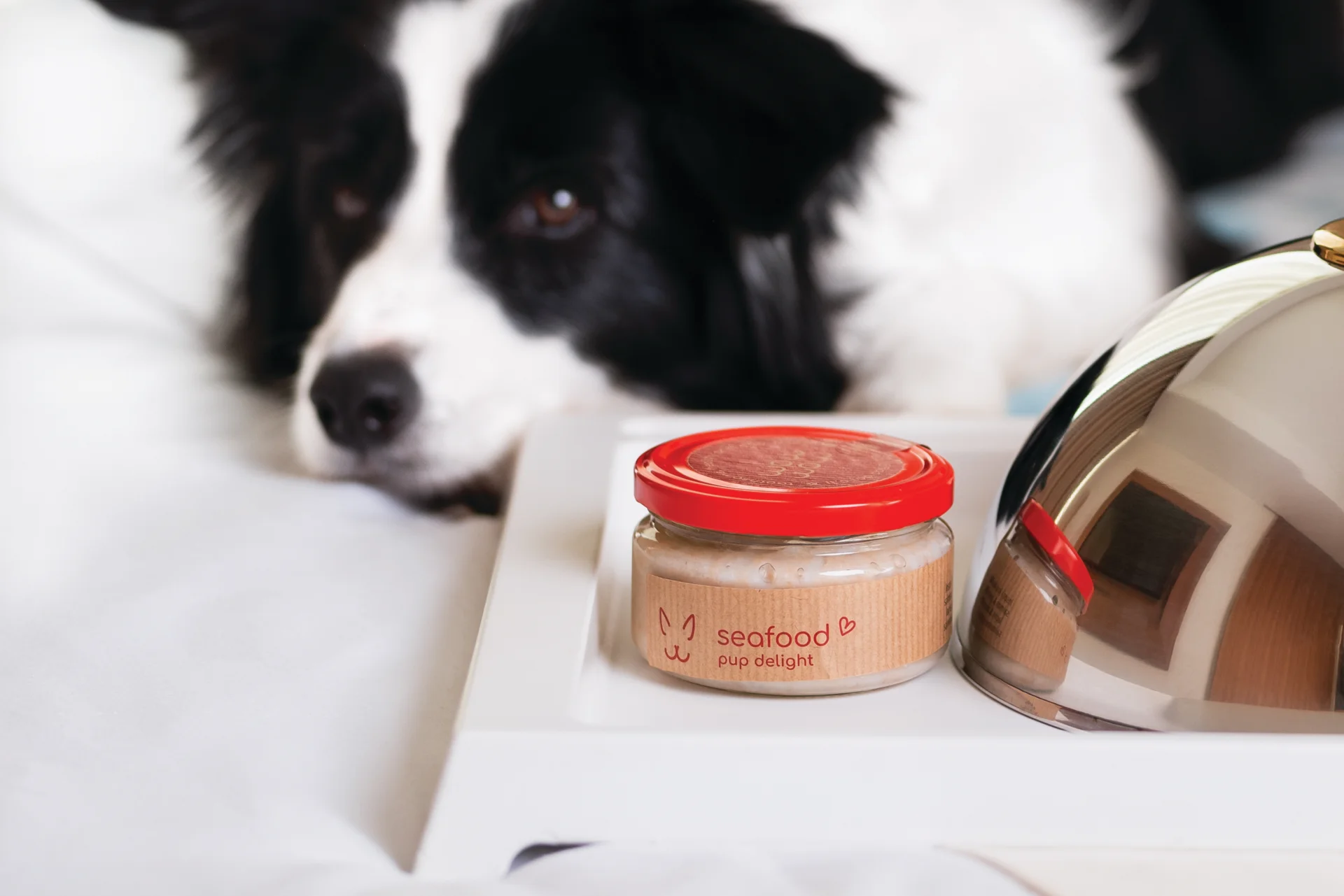 Dog food - seafood pup delight