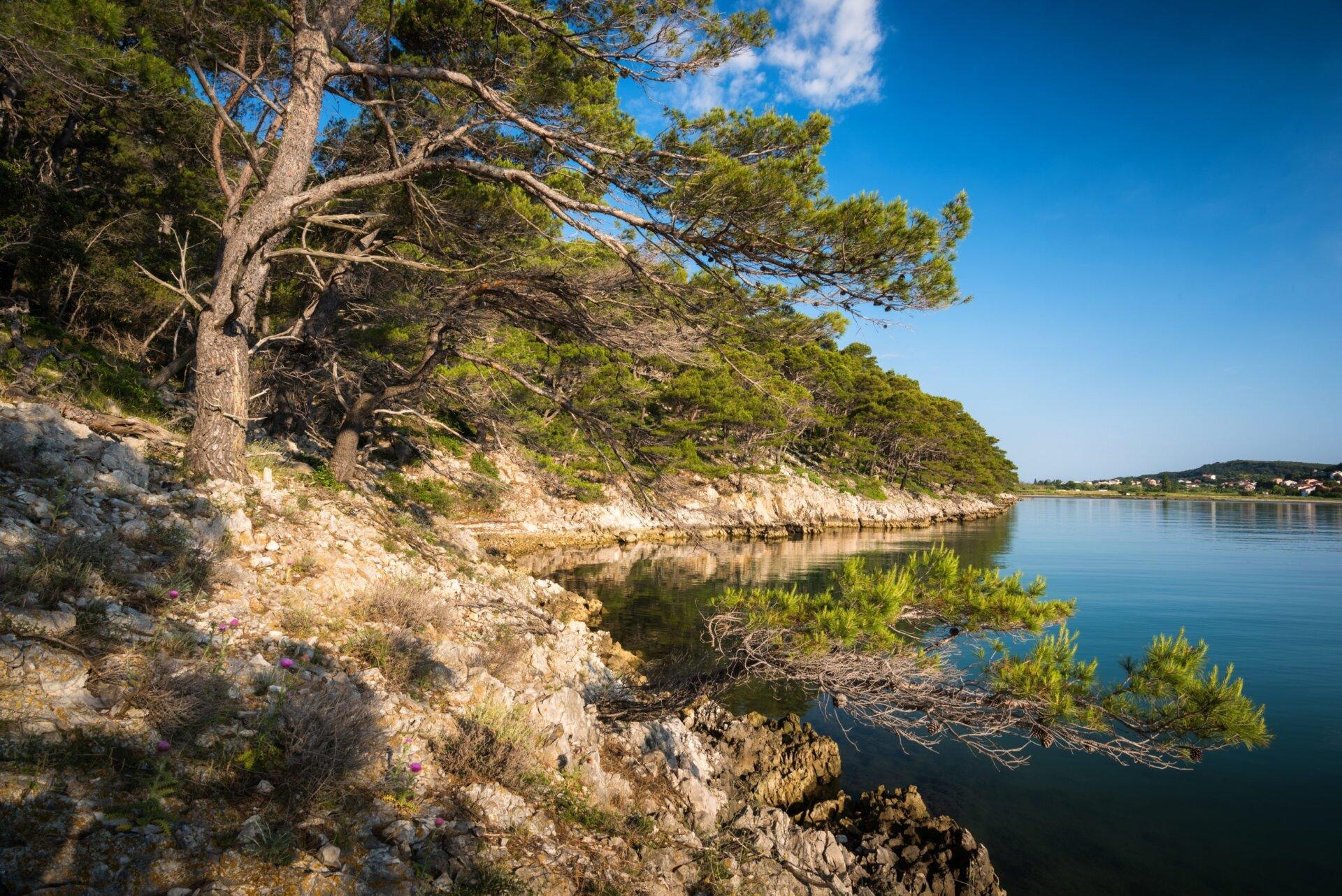 Stone,Oaks,On,The,Shore,Of,Peninsula,Kalifront,On,The