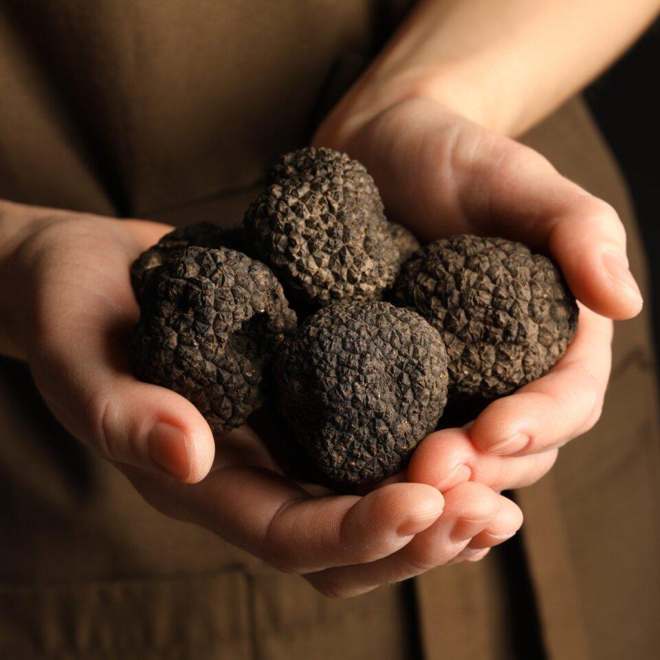 Woman,Holding,Heap,Of,Truffles,In,Hands,On,Black,Background,