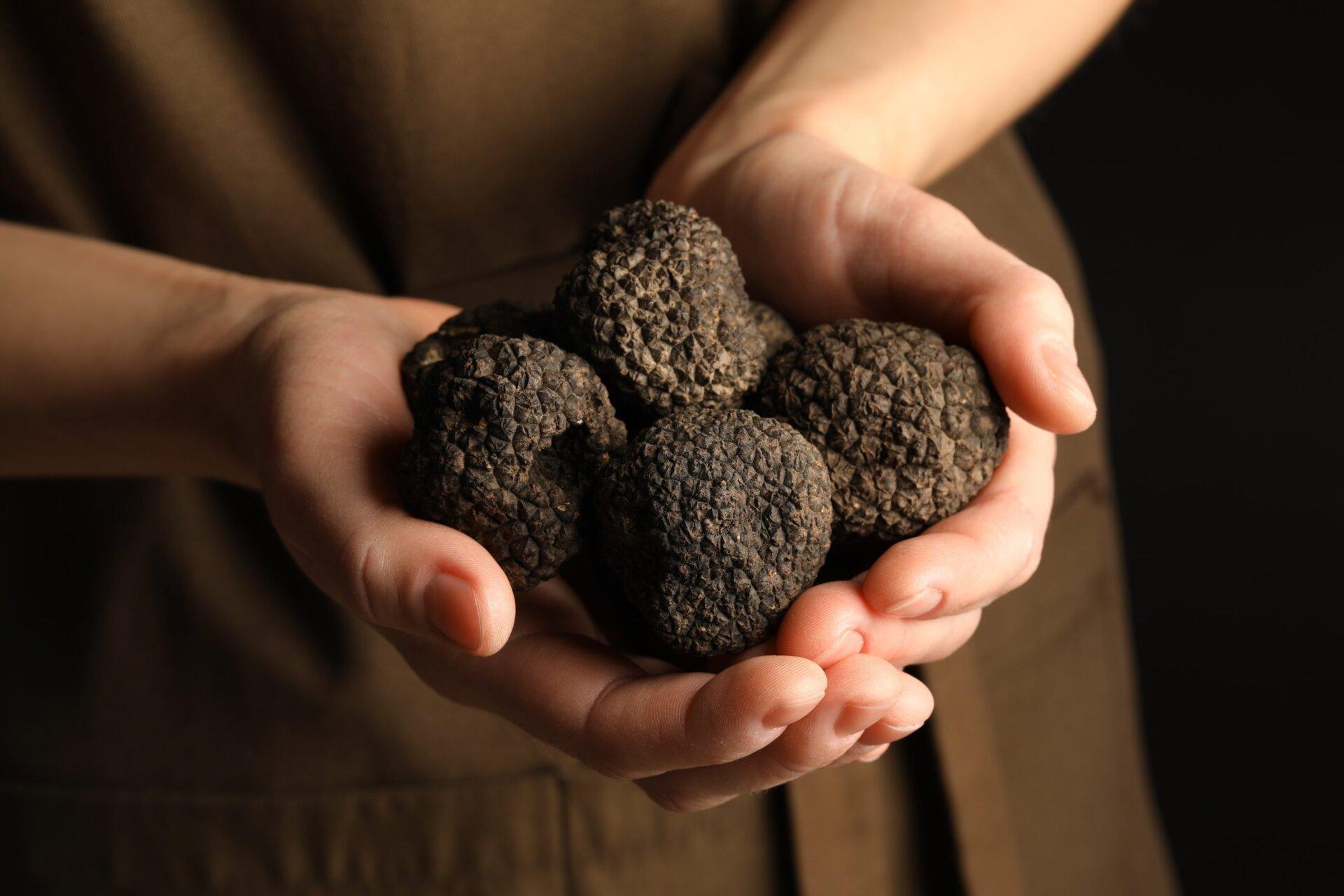 Woman,Holding,Heap,Of,Truffles,In,Hands,On,Black,Background,