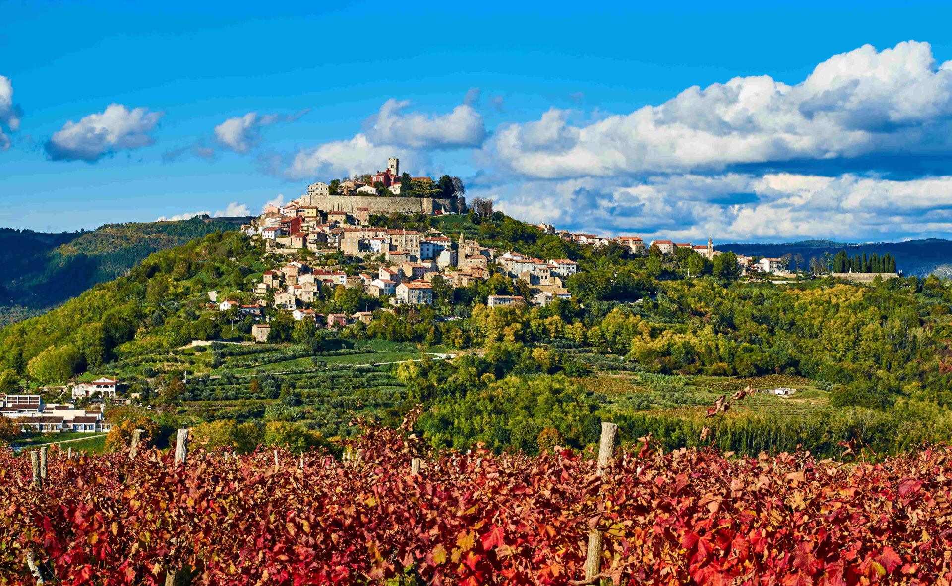 View of Motovun in autumn