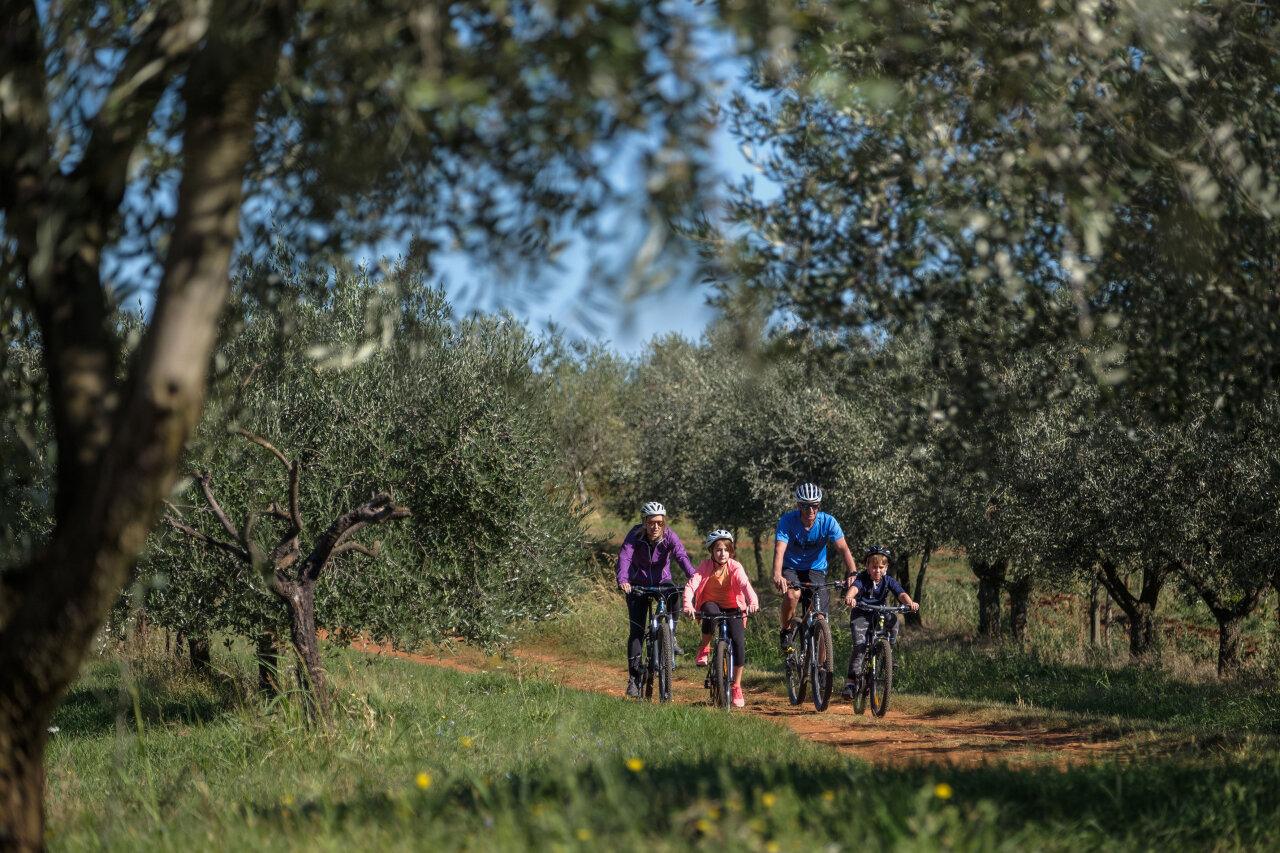 Family cycling in the scenic surroundings around Poreč