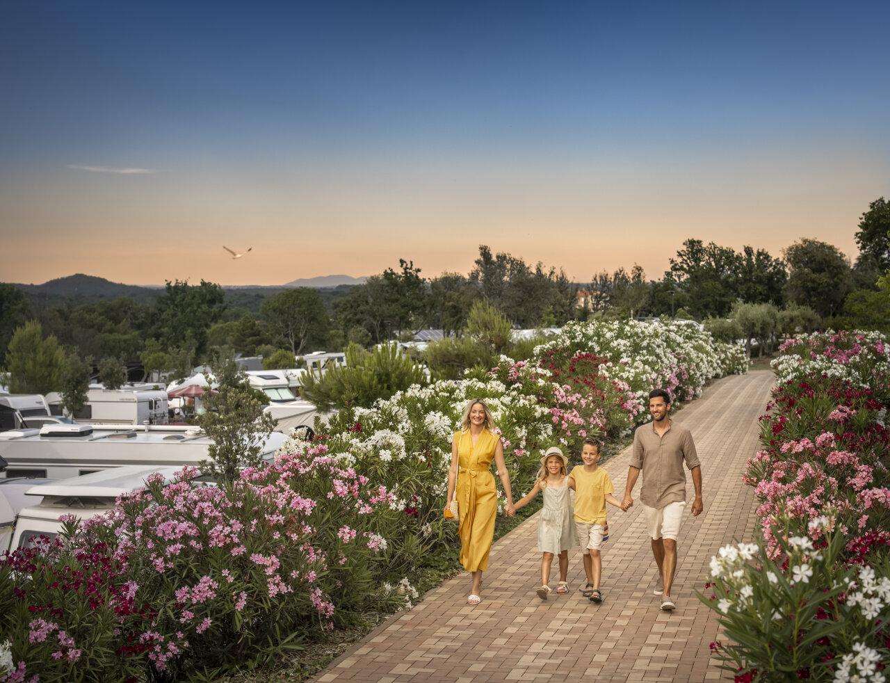 Family taking a stroll among oleander trees