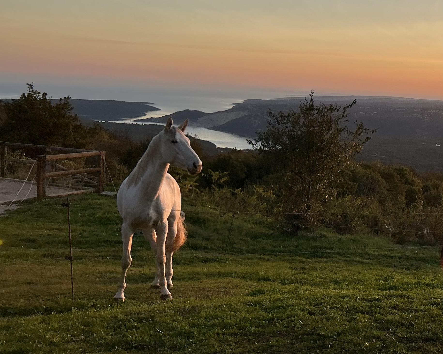 Seaview from Ranch Marconi