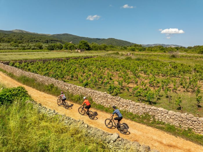 Scenic cycling route in Stari Grad, Hvar, featuring historic dry-stone walls