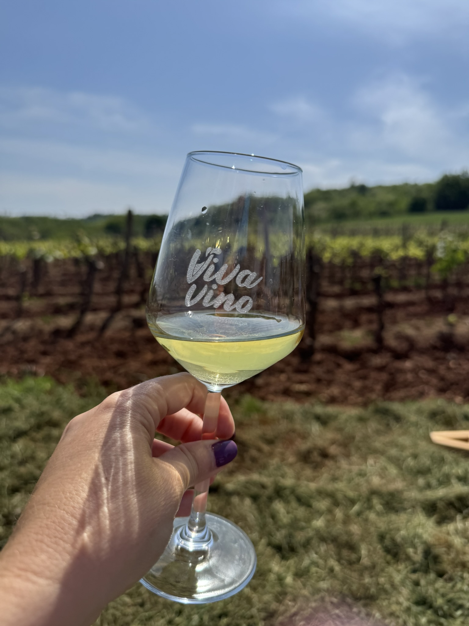 A glass of Viva Vino with a view of an Istrian vineyard