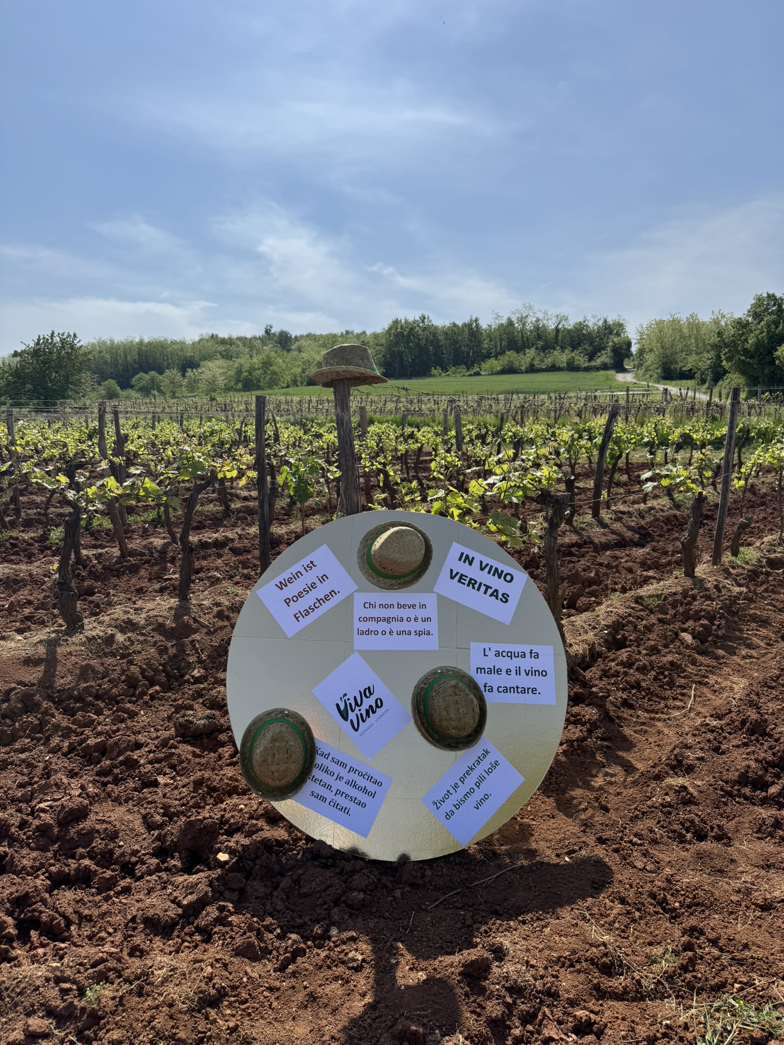 A warm welcome for participants through wine-related proverbs
