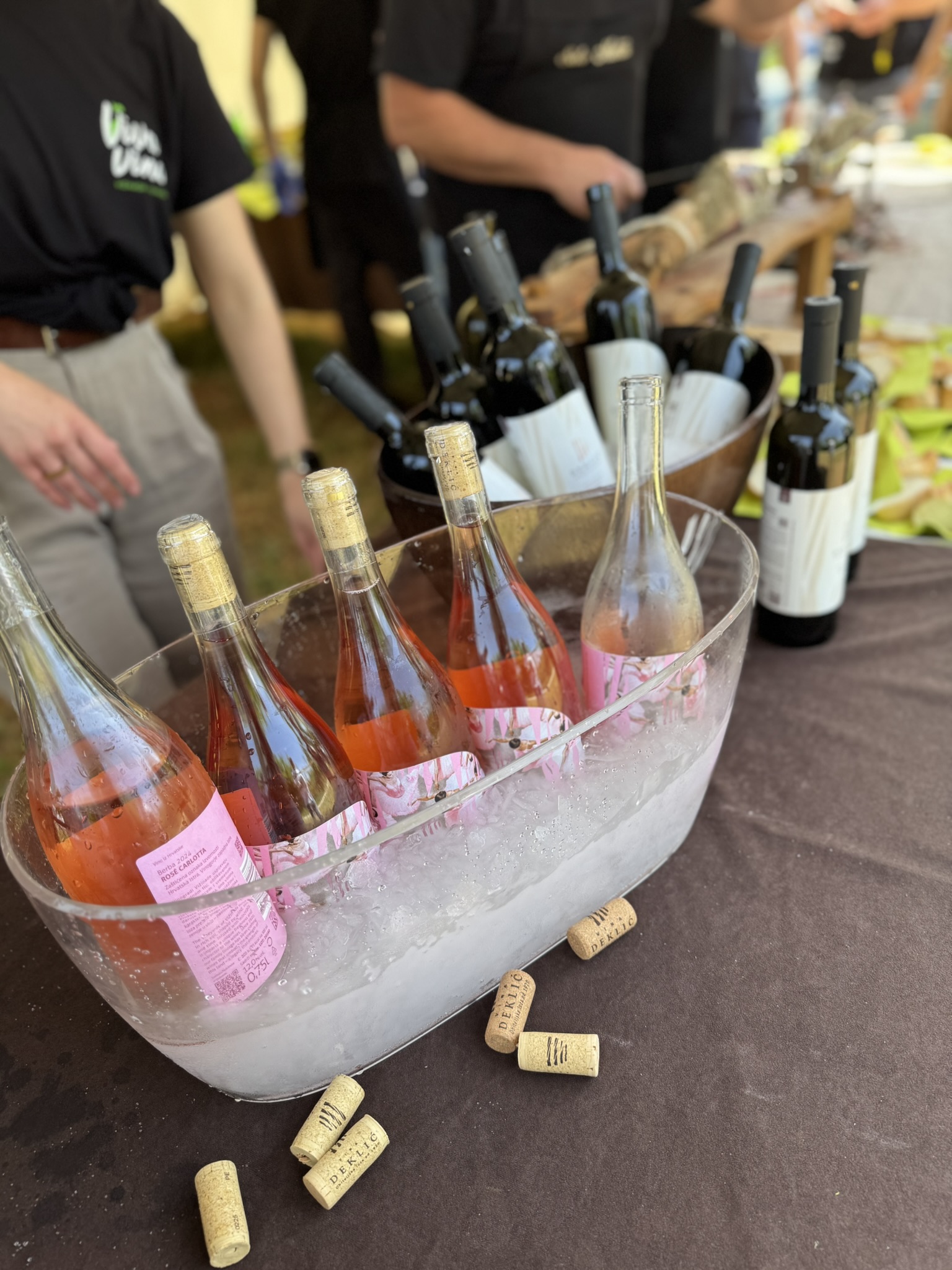 Deklić wines enjoyed by many experience participants