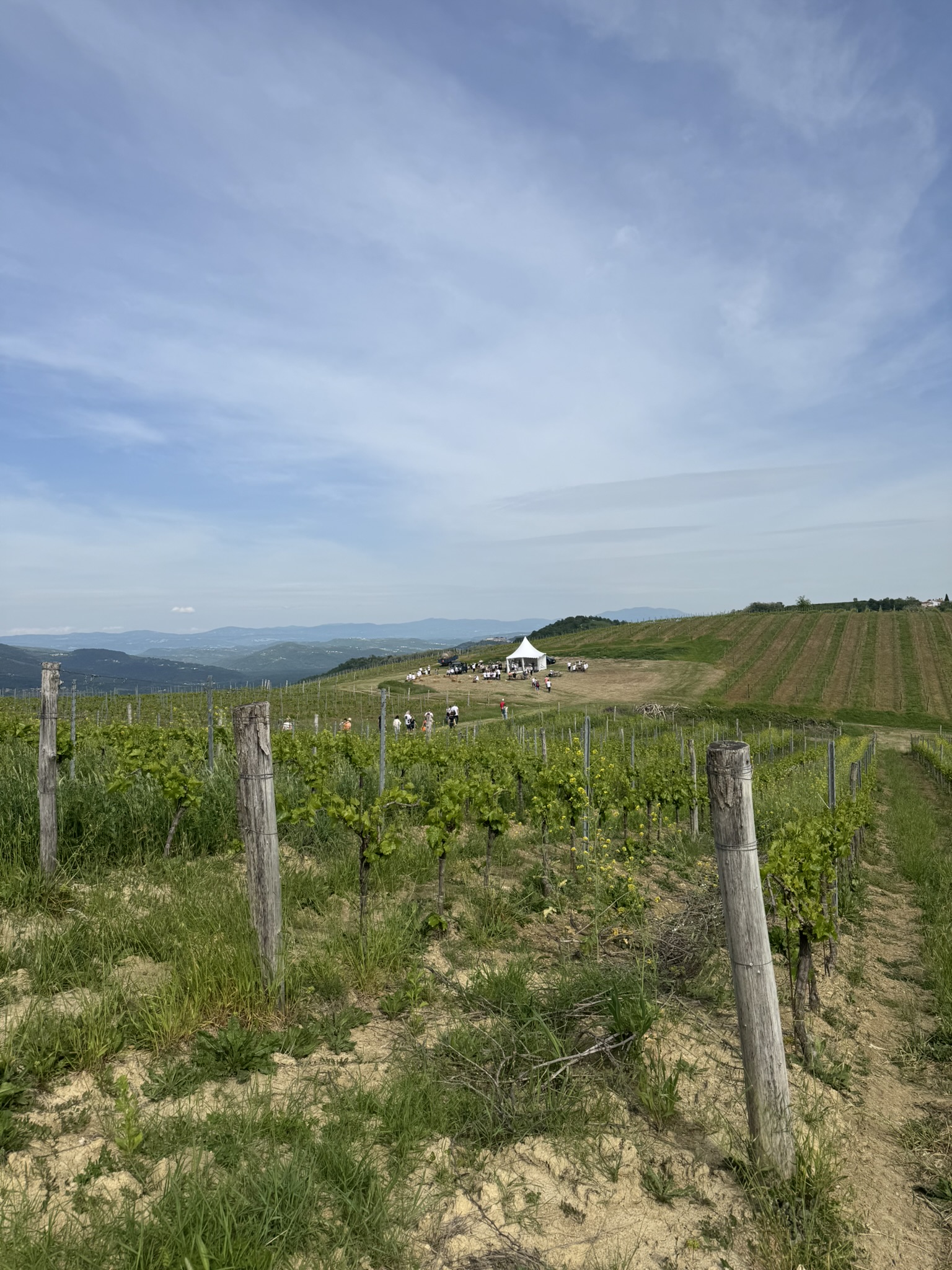 The path to the last stop of Wine & Walk in Vižinada