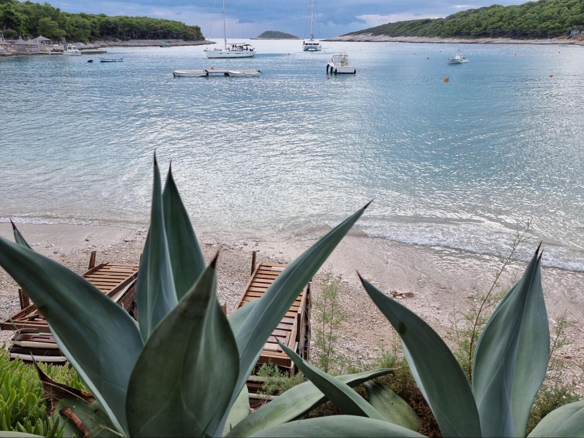 Blick auf den Palmižana-Strand auf der Insel Sveti Klement, mit Booten und tropischer Vegetation