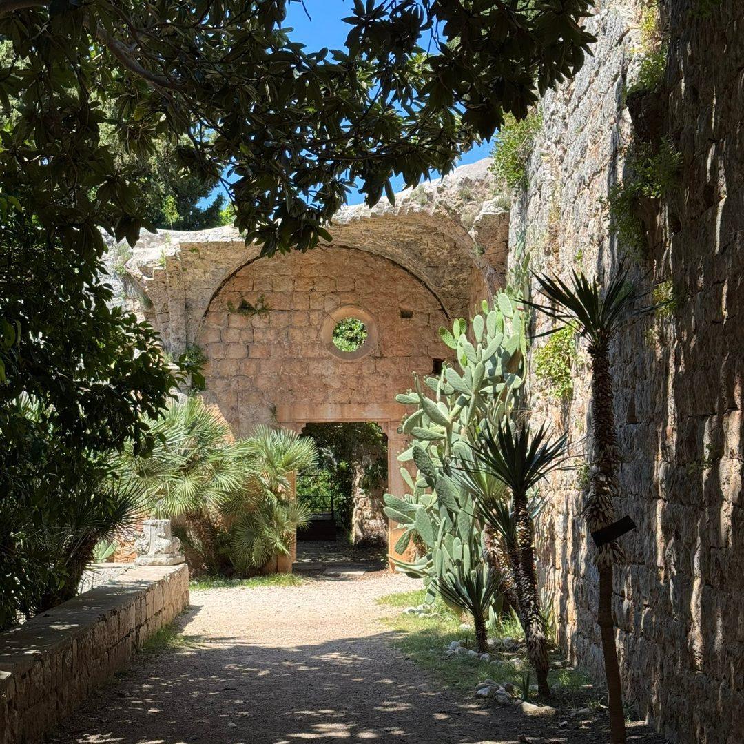 Historic stone ruins surrounded by Mediterranean greenery and cacti on Lokrum Island near Dubrovnik.