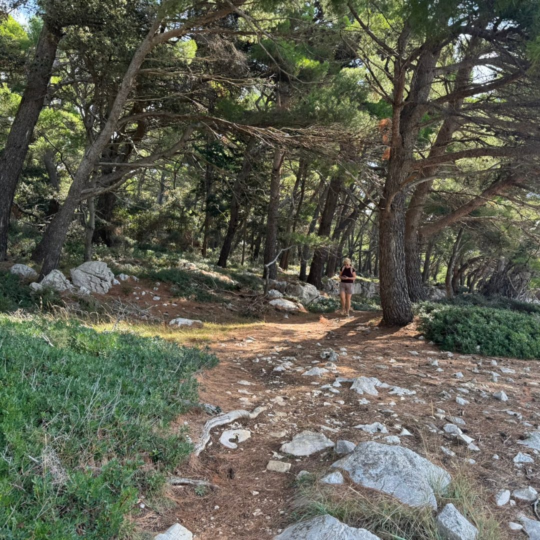 Walking trail through a pine forest on Rab Island, with sunlight filtering through the trees and the sea visible in the distance.
