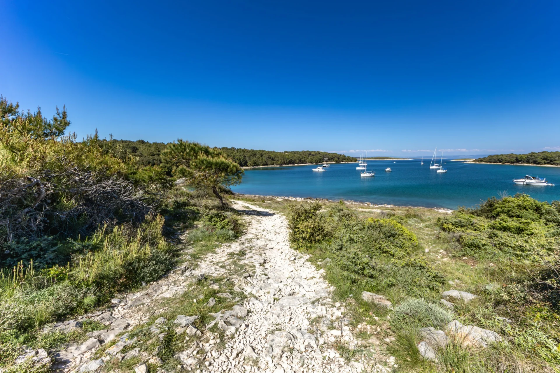 Panoramablick auf die zerklüftete Küstenlinie von Kamenjak mit felsiger Küste, türkisblauem Meer und üppiger mediterraner Vegetation unter strahlend blauem Himmel.