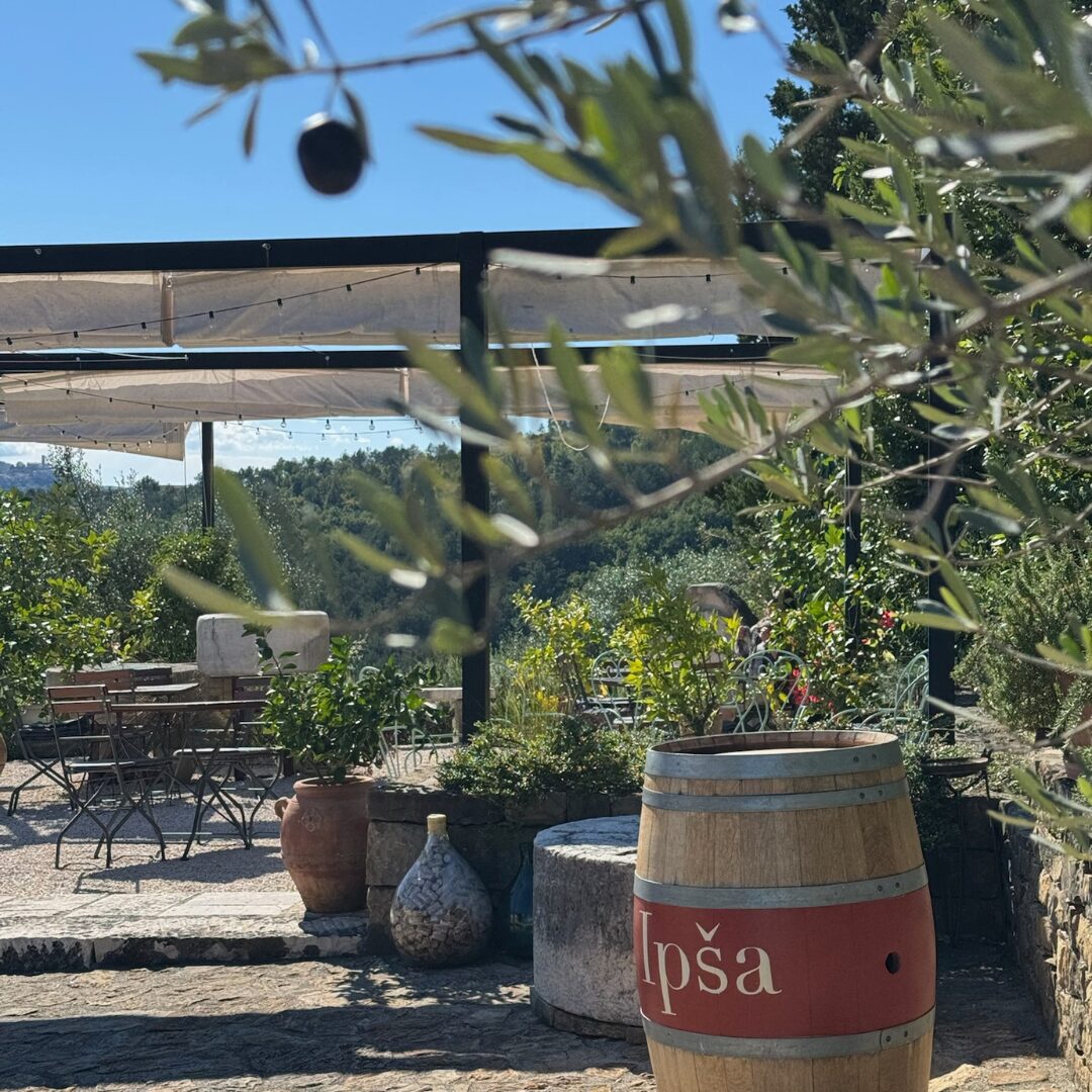 Ipša terrace with an olive branch in the foreground, branded barrel, and pergola overlooking green hills.