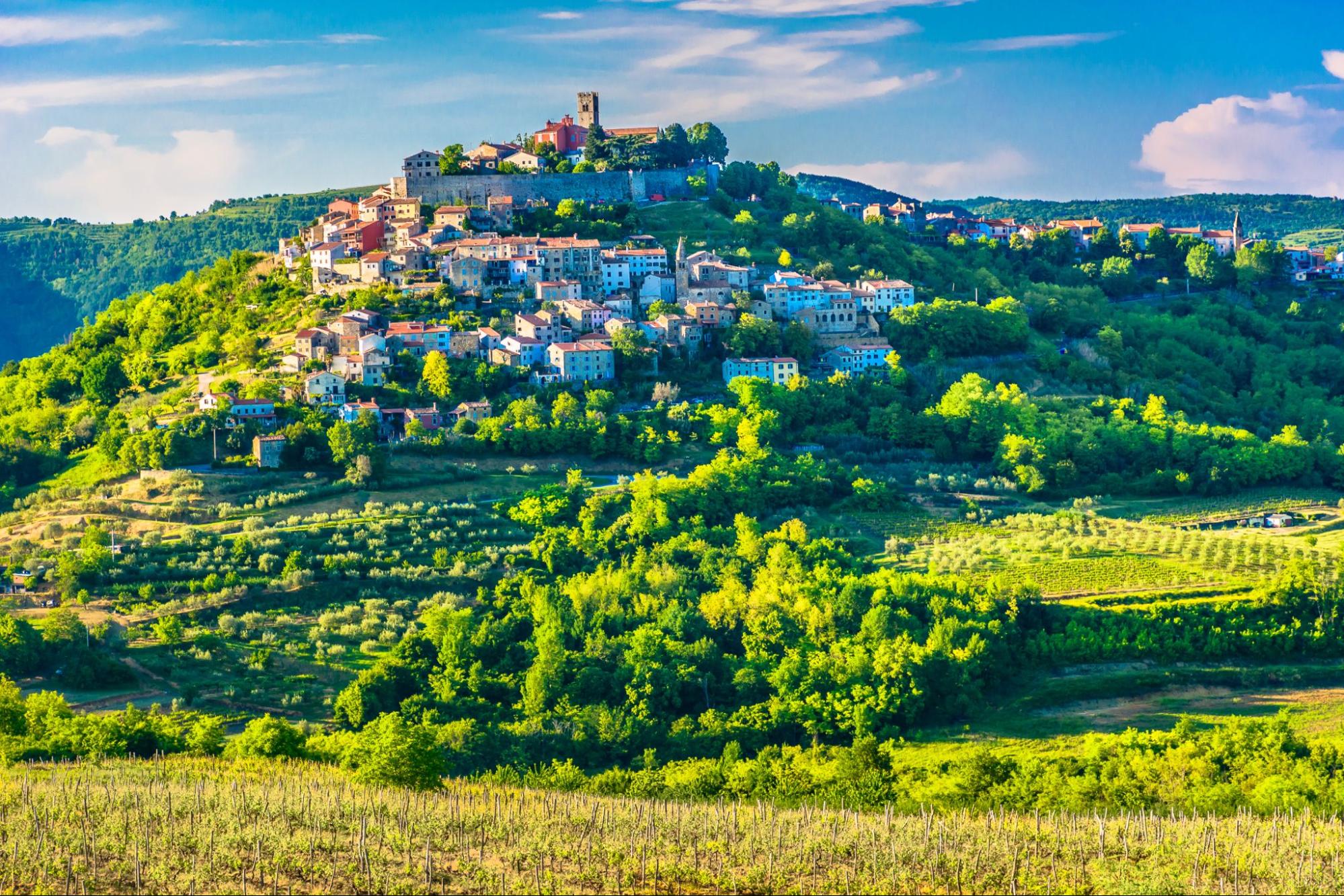 Medieval town of Motovun perched on a hilltop surrounded by greenery