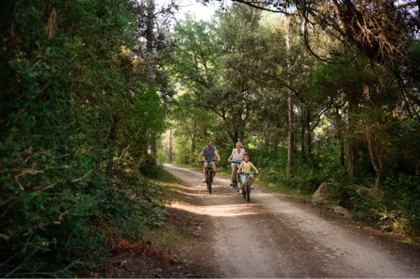 Family cycling along a forest trail on the island of Rab