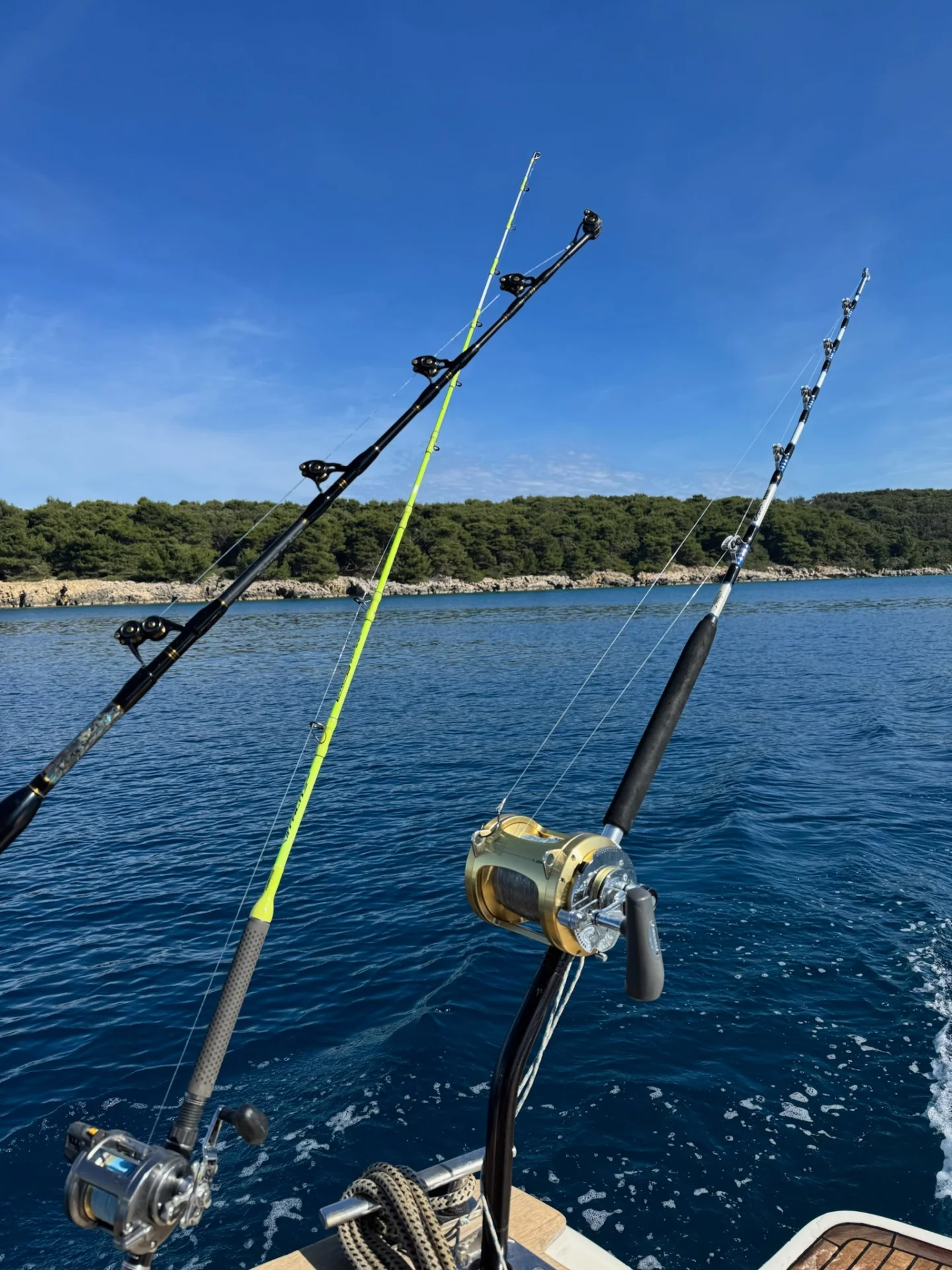 Fishing rods set up on a boat during a fishing trip around Rab Island, with the Adriatic Sea and pine-covered coast in the background.
