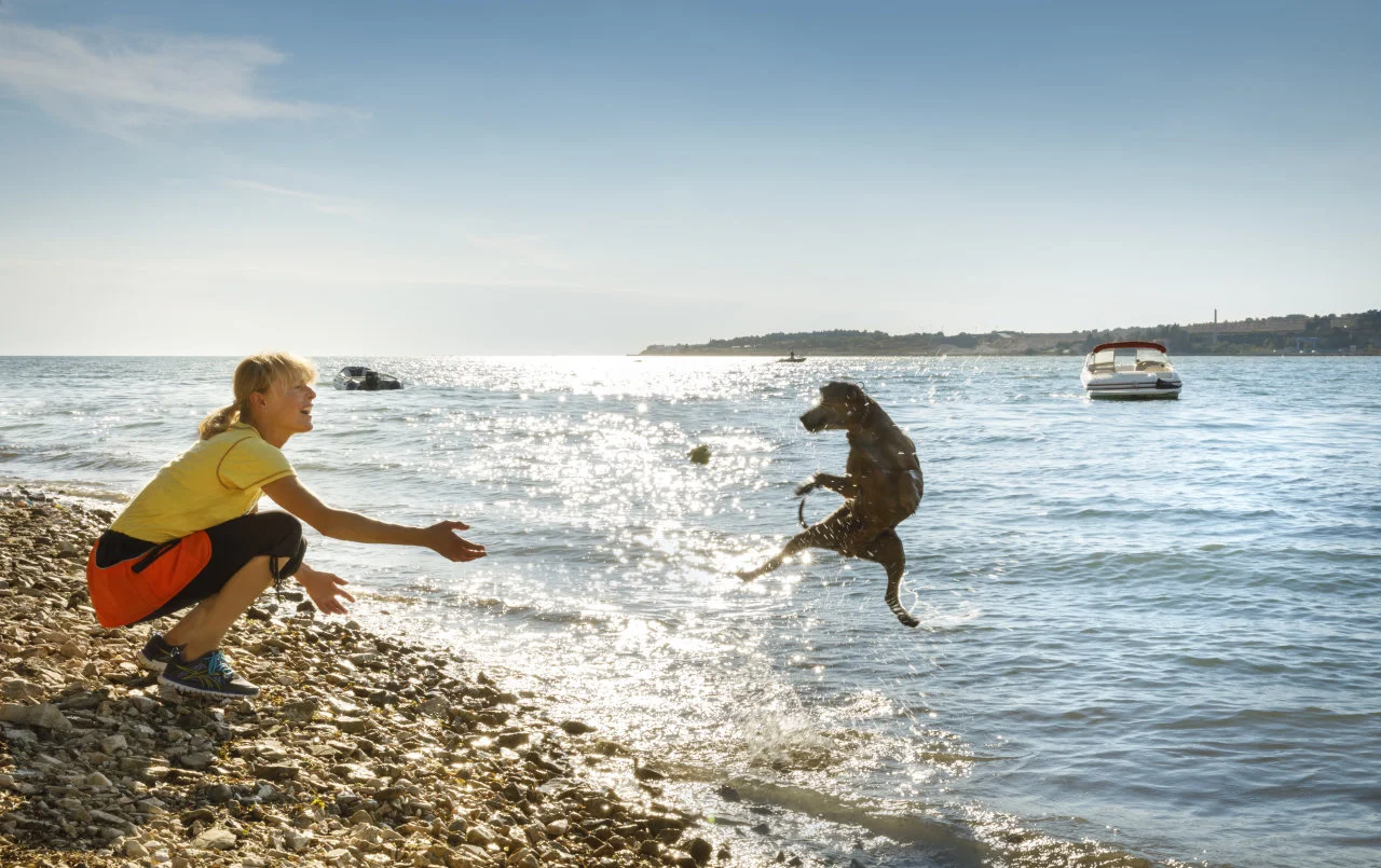 Nasmijana žena na šljunčanoj plaži igra se s psom koji u skoku hvata lopticu na plaži u Tarskoj uvali u Istri