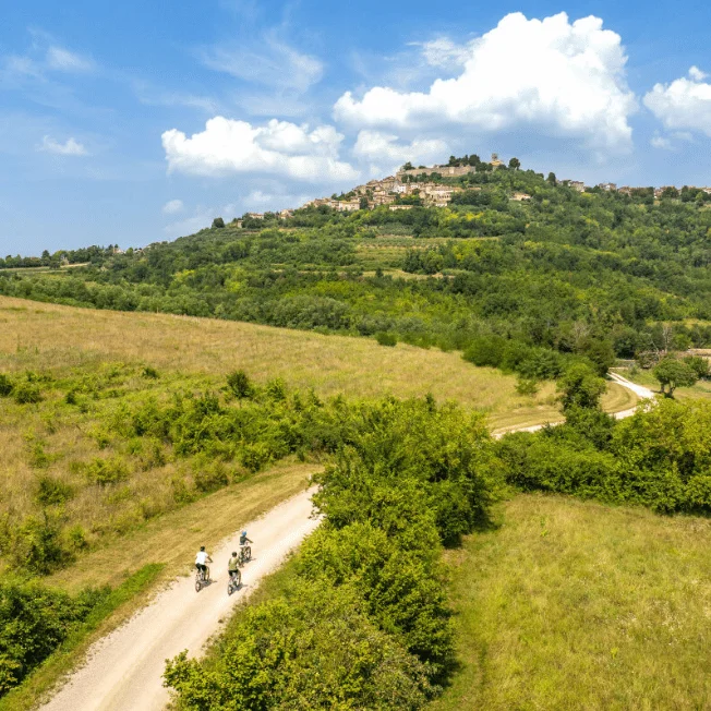 Radfahrer auf der Fahrt durch grüne Hügel der istrischen Landschaft.
