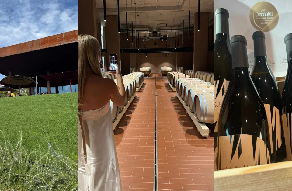 An Early Autumn Afternoon at Deklić Winery