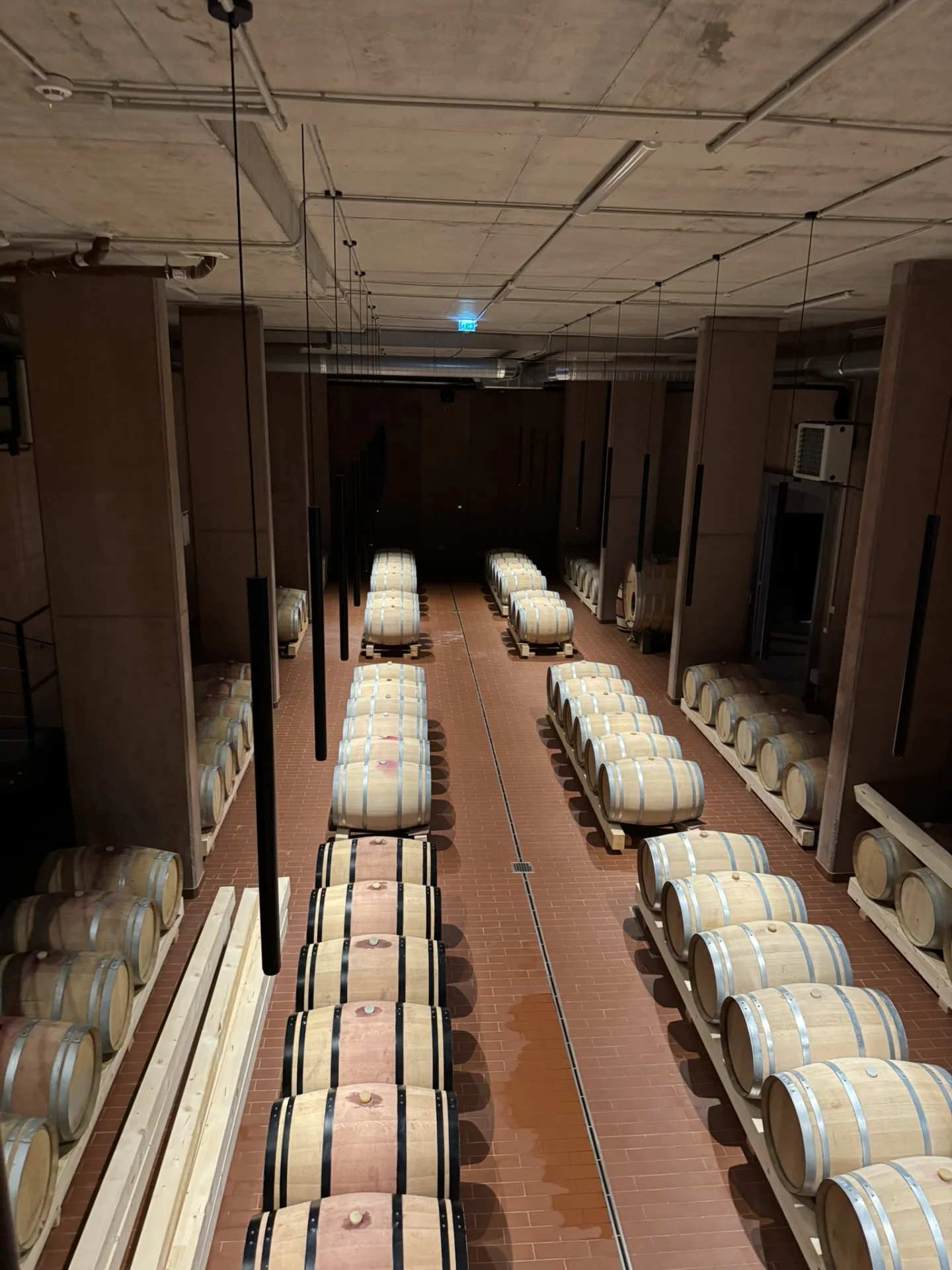 Interior of Deklić Winery’s wine cellar in Istria, with rows of wooden barrels used for ageing wine