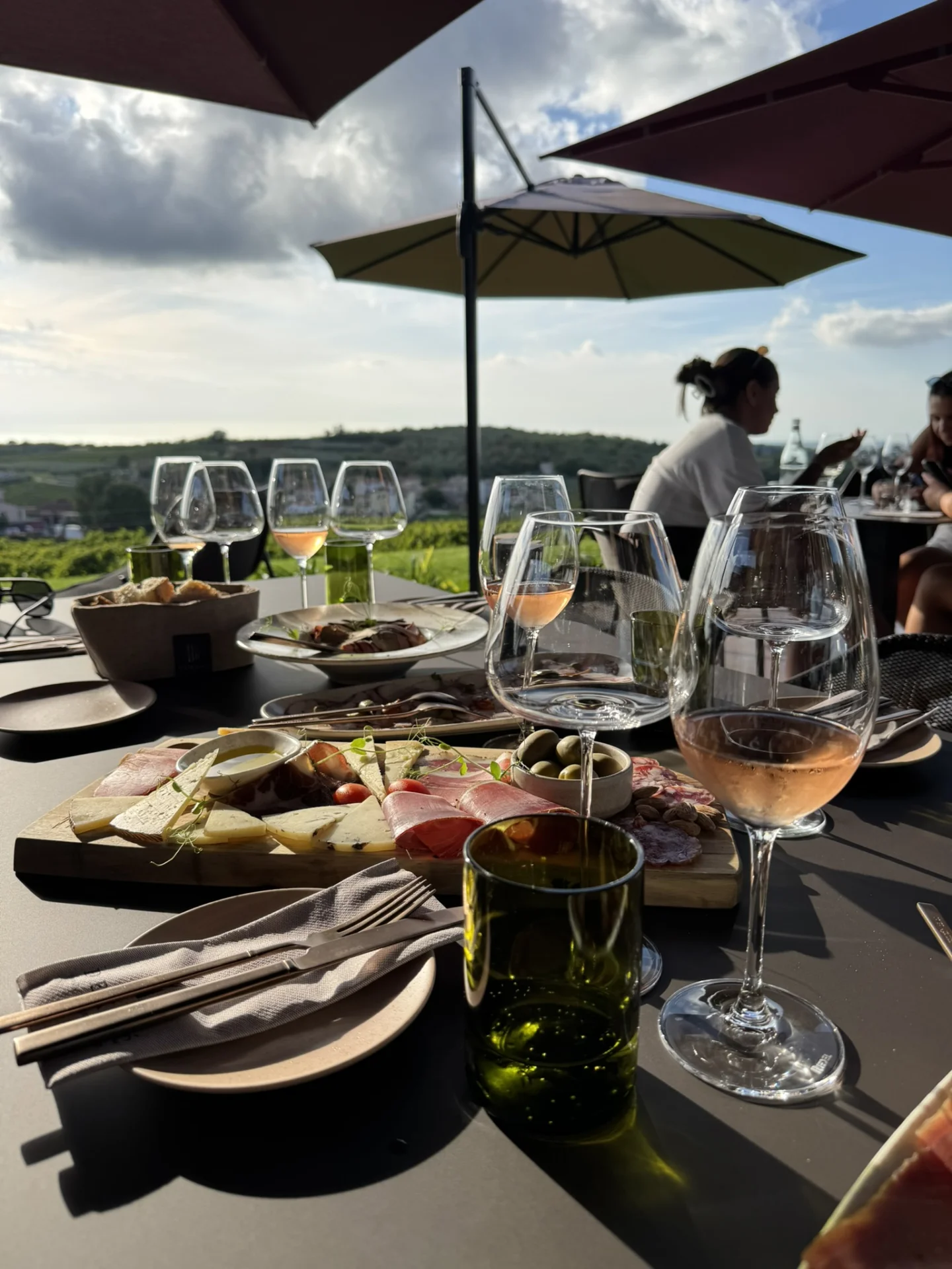 Wine tasting on the panoramic terrace of Deklić Winery, featuring glasses of rosé wine, local Istrian delicacies and views of the surrounding countryside.