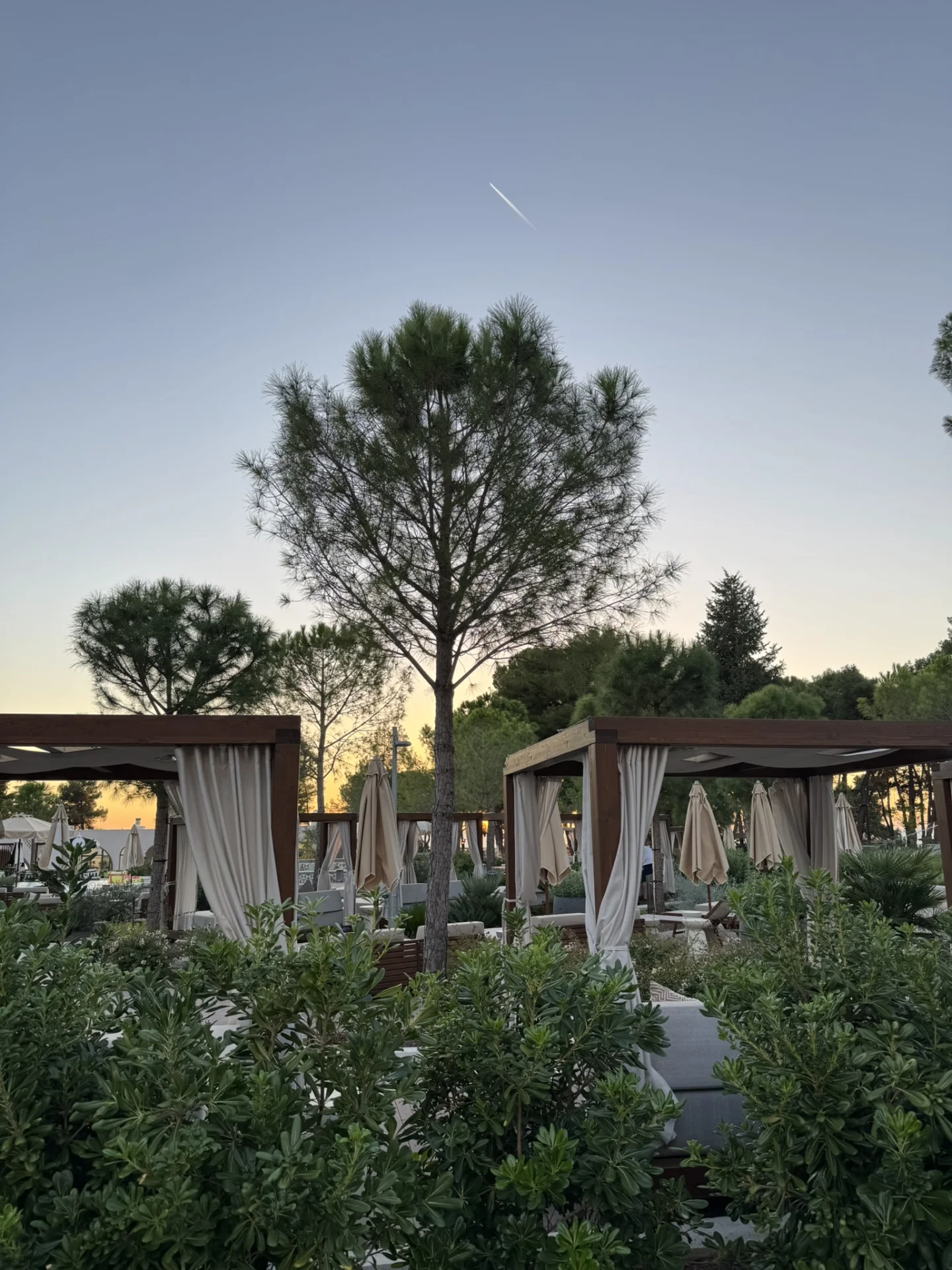Outdoor terrace and landscaped garden at Pical Resort 5*.